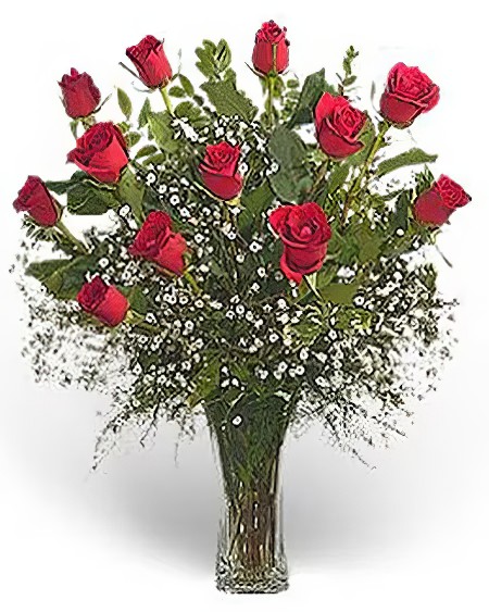 One Dozen Red Roses